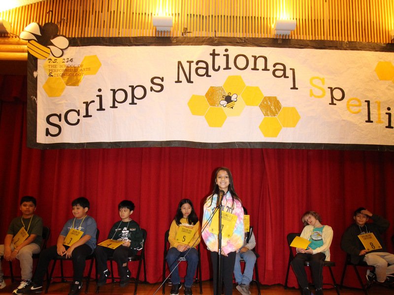 PS 234Q photo